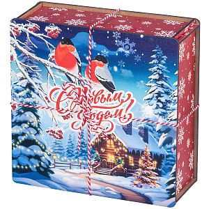 Новогодний подарок Январские птицы